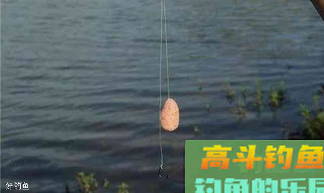 用钓饵做诱饵诱鱼的技巧
