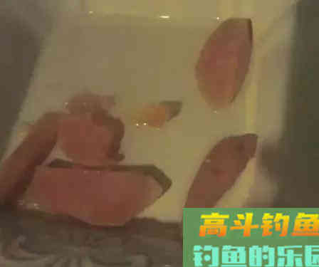 自制的一款鲤鱼饵料，很简单很天然，钓大鱼好用