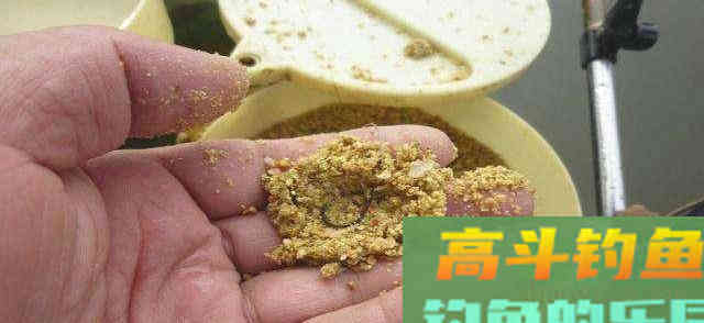 为什么螺鲤钓不到鱼？最基本的饵料搭配都不对