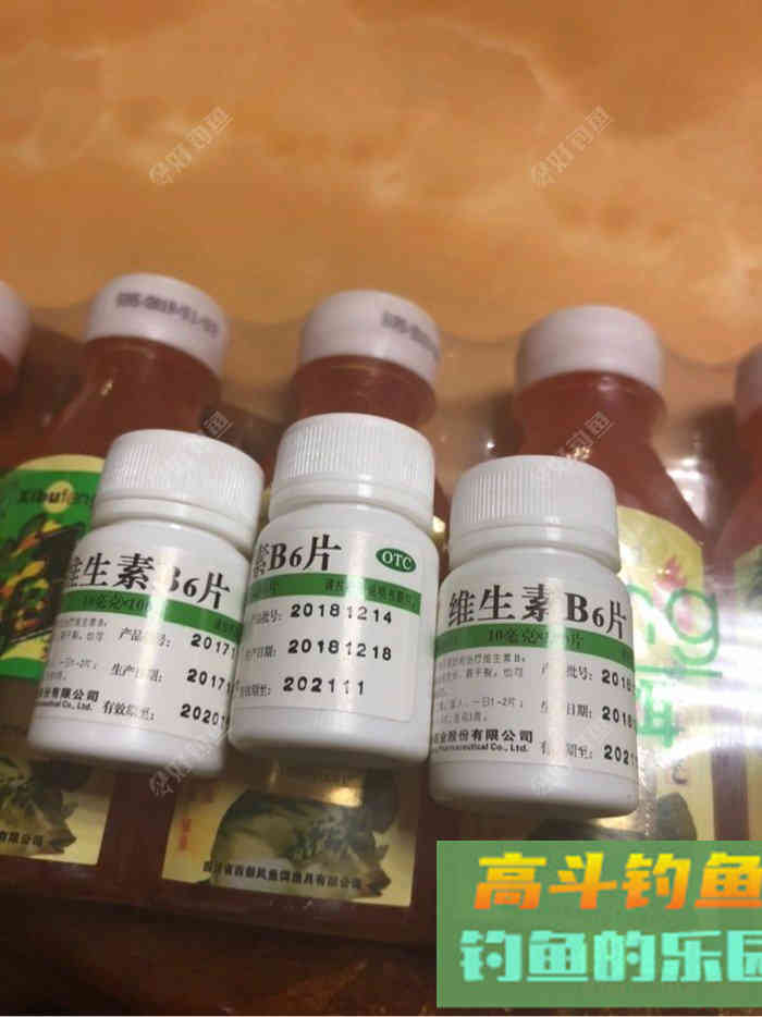自制窝料，只为积累