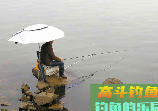 钓鱼高手们为啥咋钓都上鱼？原来用饵真是门学问
