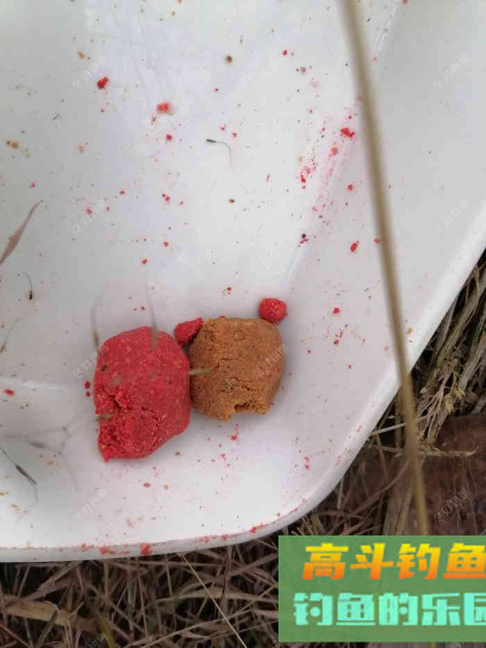 饵料是靠什么诱鱼？雾化、颜色、味道，到底是什么