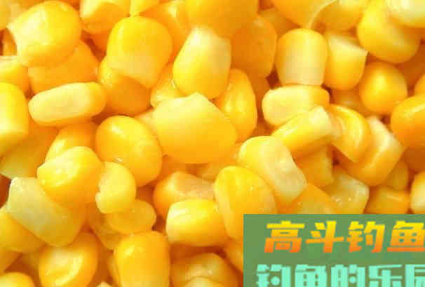 4种错误的打窝方式，浪费窝料还钓不到鱼