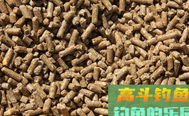 越贵的饵料效果越好？颗粒饵很廉价钓得可不少