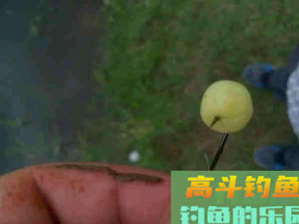 这三种特殊的鱼饵，到底能不能钓上鱼？