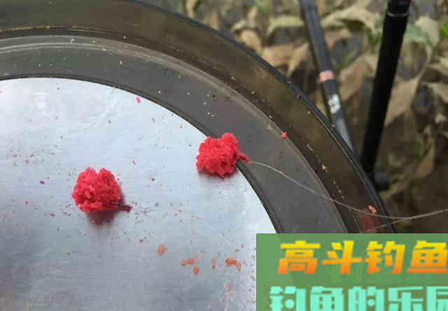 6款适合新手钓鲫鱼的饵料，无需搭配，单开就好用