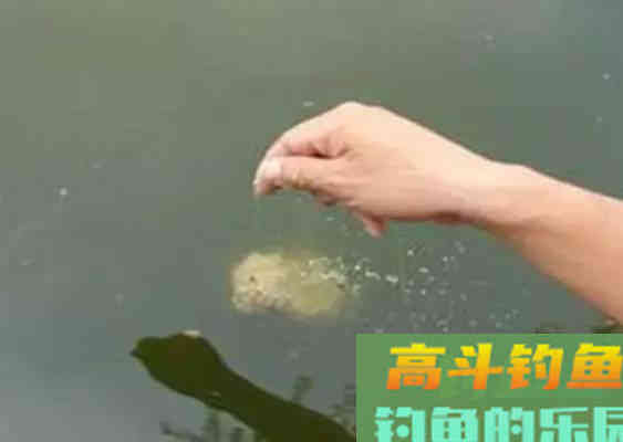 打窝后鱼口不错，但是不能连竿，这是什么原因呢
