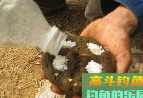 一定要知道的冬季打窝诱鱼的几大技巧