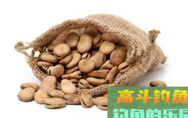 这款自制鲤鱼饵料，奉上制作全过程