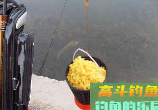 冬季打窝来鱼慢？不是窝料味道差，不是钓位不够好