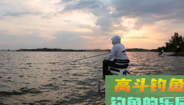 自制好酒米，且酵香入味、成本低廉，诱鱼必备
