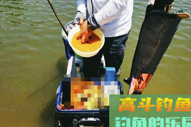 给人当了一个月的小工，偷师得到窝料饵料配方