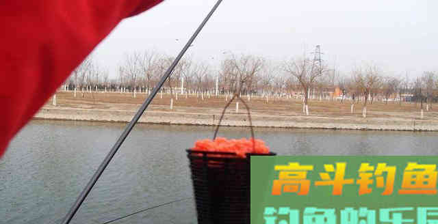 钓鱼打窝绝学分享，想多钓鱼的你值得拥有