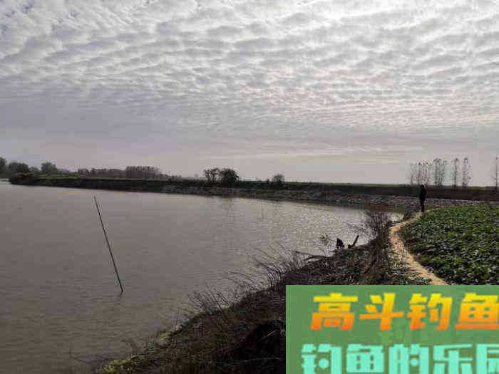 在钓鱼打窝后，怎么判断鱼是否有进窝，通过3个方法即可