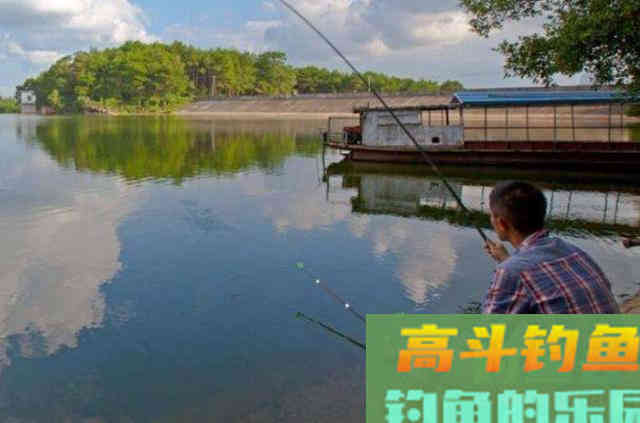 拉饵好用，但遇到这3种情况，虫饵比它强很多