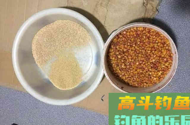 玉米钓鱼只需谨记三个关键，大鲤鱼手到擒来