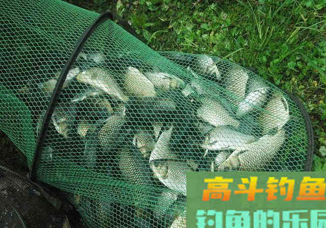 自制鱼饵配方送钓友，大小鱼通杀，感兴趣的拿走