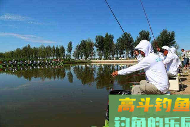 小黄面为什么风靡黑坑？它是一种怎样的钓饵