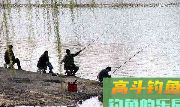 打窝子这个事，还真不是窝料扔得越多，渔获就越好