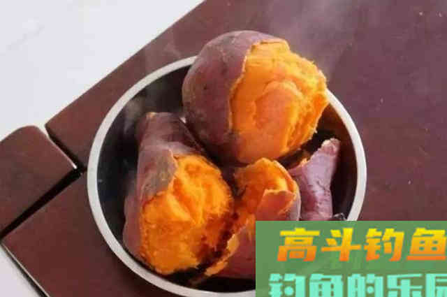 大鲤鱼太狡猾了，被迫才用这特效饵