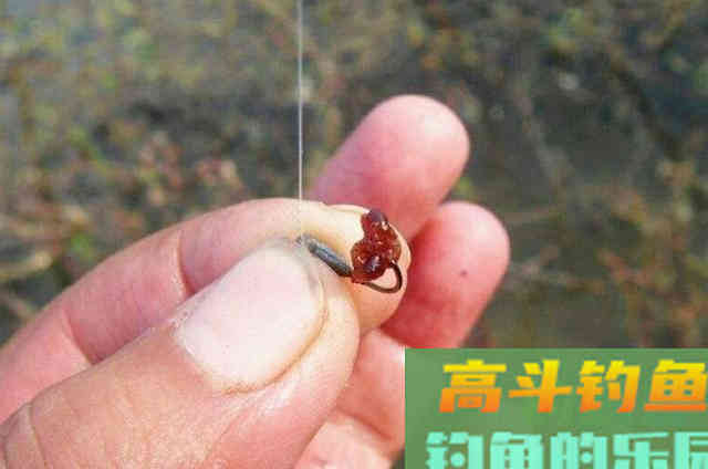冷天钓鱼时，需要钓友们牢牢记住的3个用饵套路