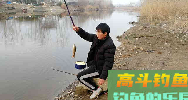 冬钓小鲫鱼，必用的三种饵料，你都用对了吗