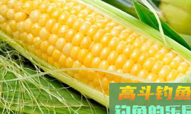开饵的几大常见误区，除了拉丝粉吸水，这个问题不能忽视
