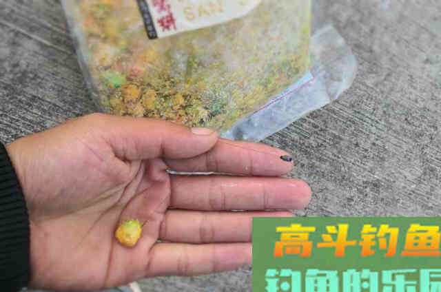 这才是玉米饵最牛的用法秘诀，猛拔鲤鱼十拿九稳