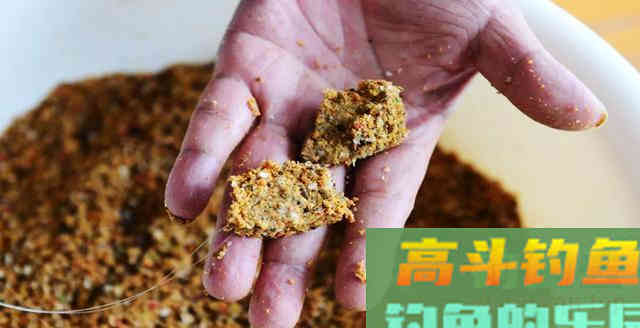 详解4种饵料介绍，特点和注意事项