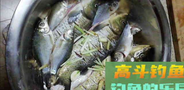 谷麦打窝，跑铅钝钓法野钓