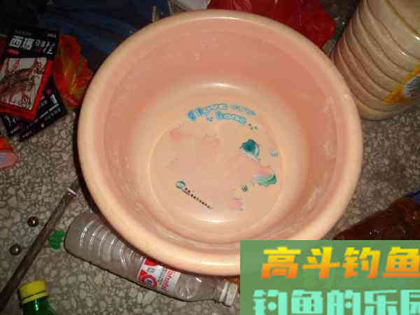 用自制饵料钓鲢鳙，这鱼一来一群，钓不散