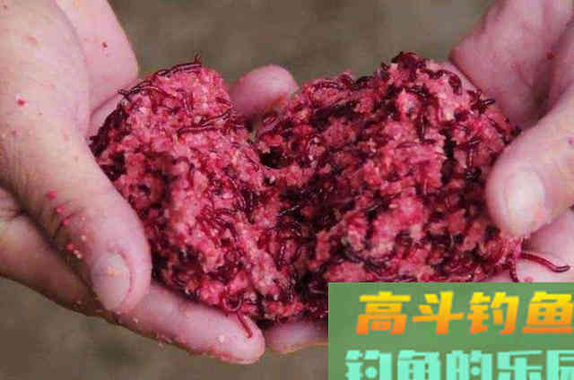 冬天用饵我只需熟记这十字诀，就是好用