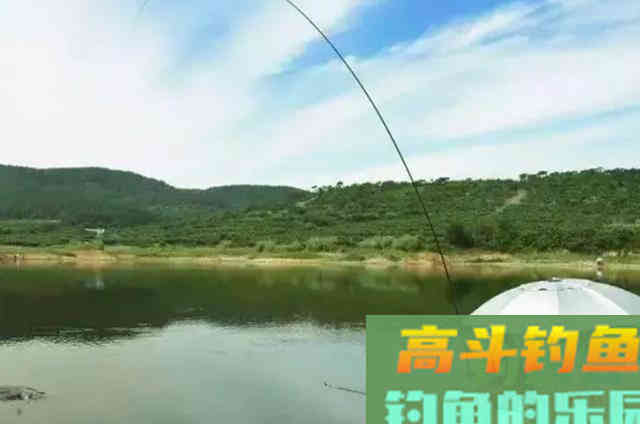 秋分后钓草鱼要常用这类草鱼饵