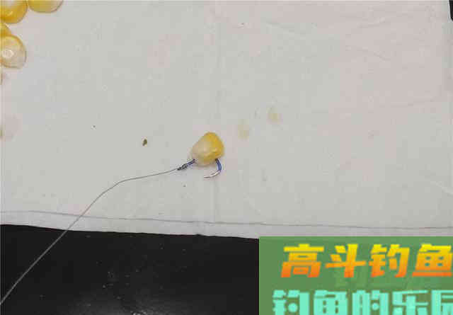 嫩玉米这样挂可大幅提高中鱼概率，不同的鱼用不同挂法