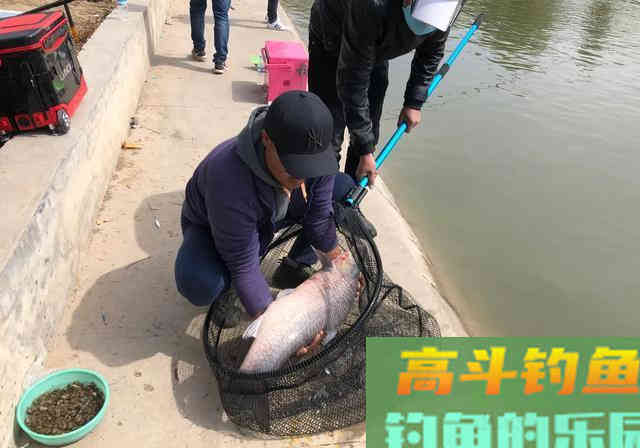 作为钓鱼人你必须知道四季鱼情小药搭配