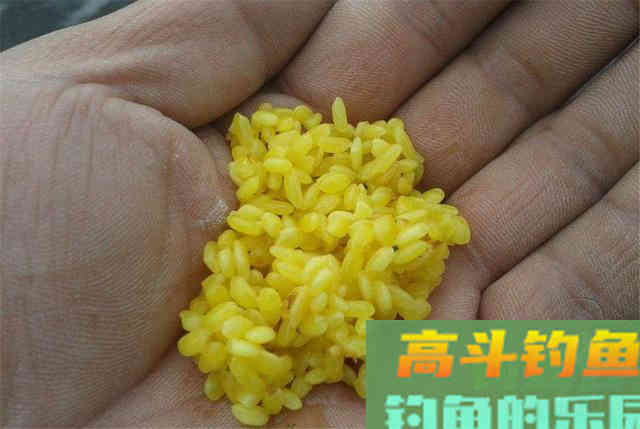 酒米不好抛投？这几个技巧能让你每次打中窝点