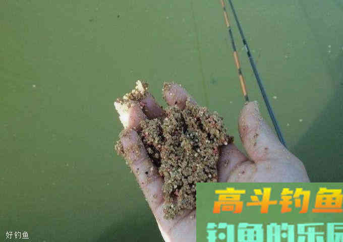 窝料随手一扔就完事?分享一下个人的打窝经验