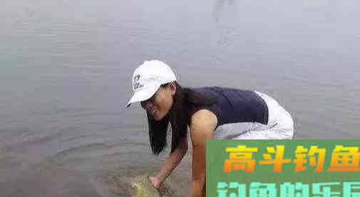 钓鲤鱼不用花钱买饵料，这三样东西几乎零成本
