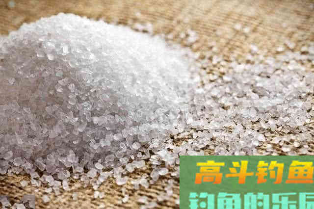 饵料之中为什么要加盐？很多钓鱼人都不知道是什么原理