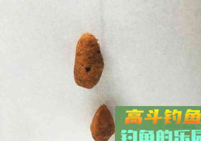 搓饵钓鱼没问题，不注意细节，钓鱼效果就会很差