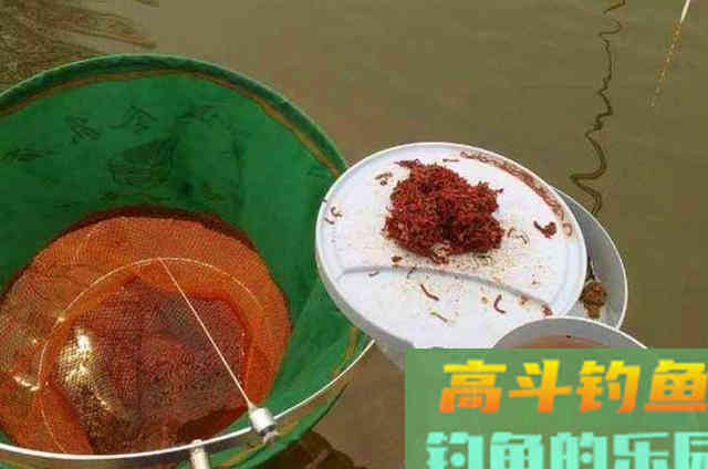 用红虫饵来钓鱼的一些方法，以及需要注意的相关事项