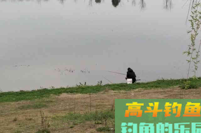 钓鱼打窝前，钓友把这些搞清楚，才能钓好鱼