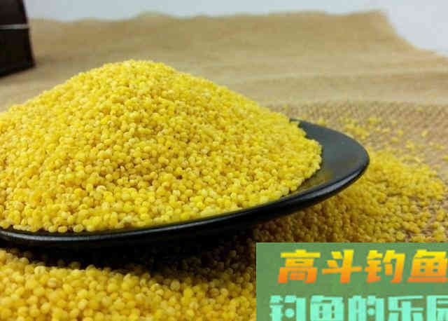 冷天钓鱼这几种饵料用法特别好