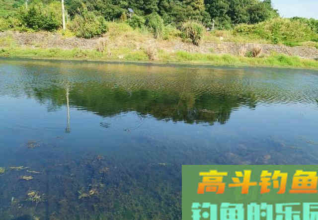 想要钓得多，自己得先走出添加剂的误区，3种错误认知不要有