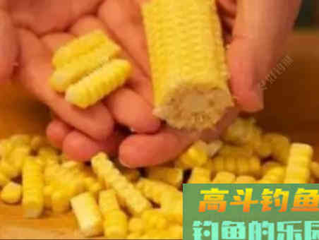 玉米窝料类别与水情鱼情分析，玉米窝料特性与打窝方法
