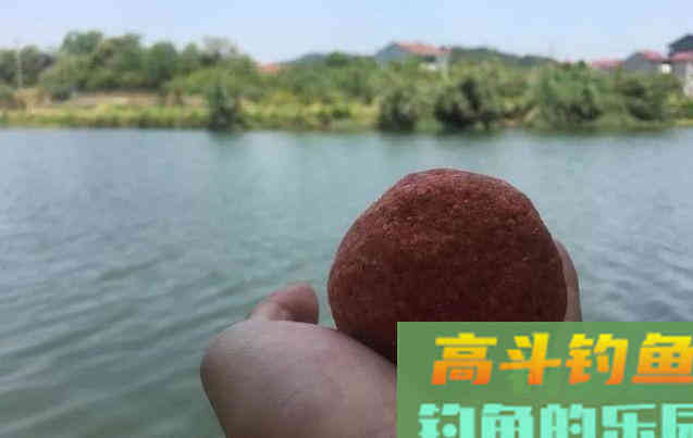 6款适合新手钓鲫鱼的饵料，无需搭配，单开就好用