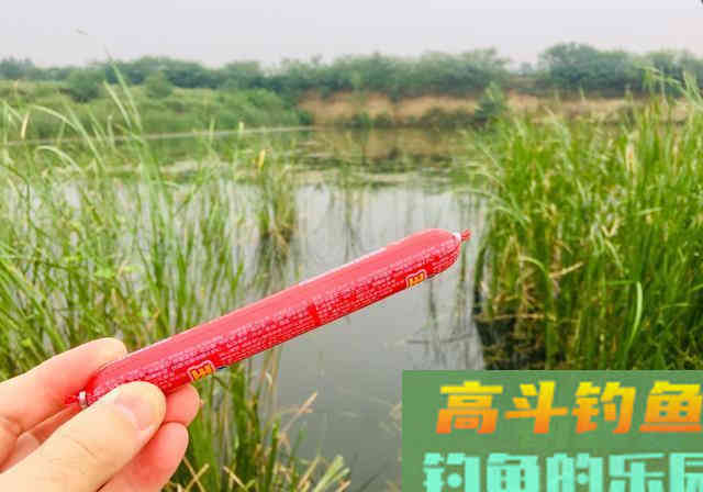 防止杂鱼闹的饵料，只要一块钱，能钓各种鱼