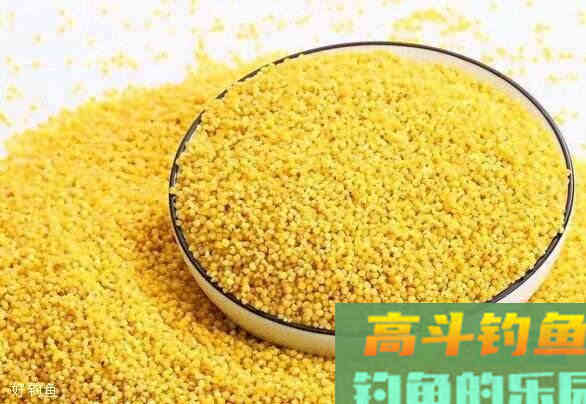 都说一把酒米一桶鱼，为何我却是一斤酒米也难上一斤鱼