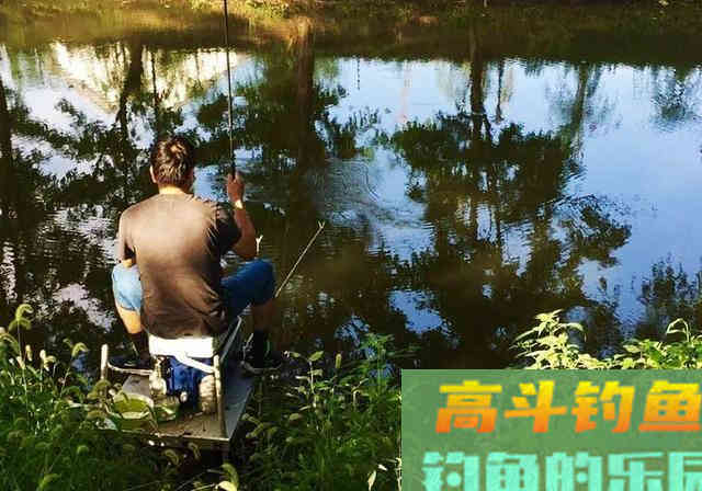 夏季打窝诱鱼不理想，那就试试这款鸡粪窝料