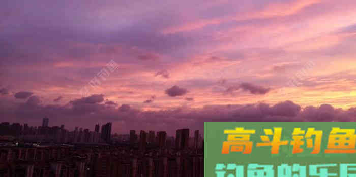 自己动手做酒米窝料，价格低廉，钓鱼效果好